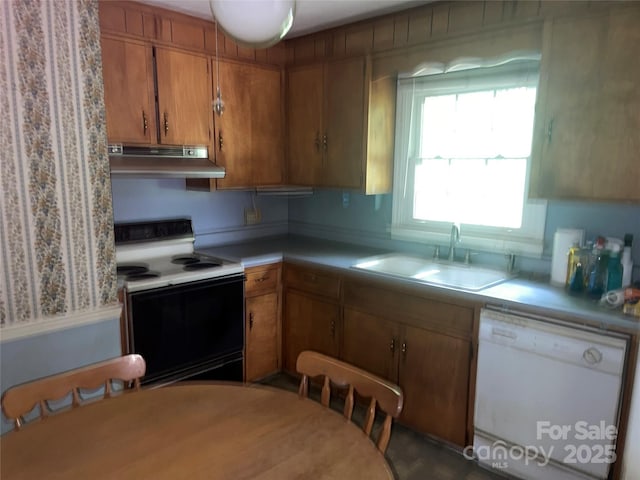 205 Rudolph Rd, Salisbury, NC 28146 - kitchen featuring dishwasher, range with electric cooktop, under cabinet range hood, a sink, and light countertops