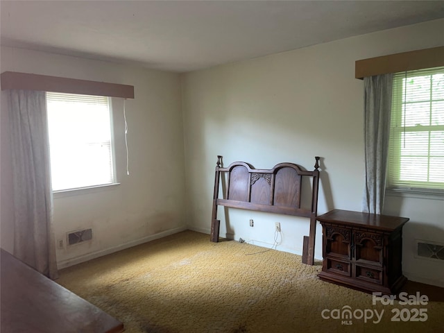 205 Rudolph Rd, Salisbury, NC 28146 - unfurnished bedroom featuring carpet, multiple windows, and baseboards