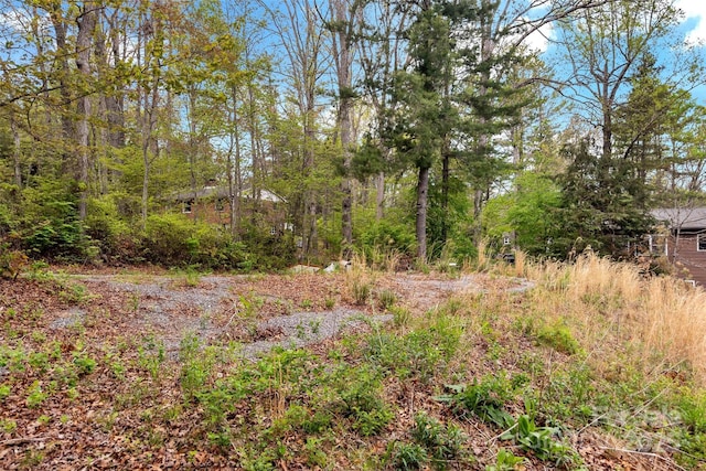 102 Byrd Rd, Black Mountain, NC 28711