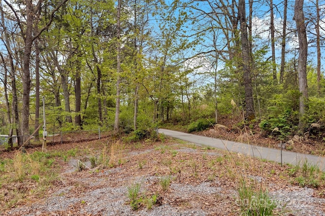 102 Byrd Rd, Black Mountain, NC 28711