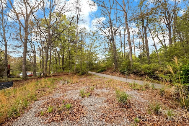 102 Byrd Rd, Black Mountain, NC 28711