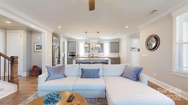 living area featuring a healthy amount of sunlight, baseboards, wood finished floors, and visible vents