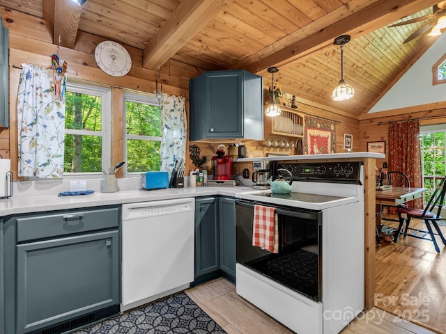 480 River Crest Parkway, Rutherfordton, NC 28139 - kitchen featuring wooden ceiling, range with electric stovetop, light wood finished floors, and dishwasher