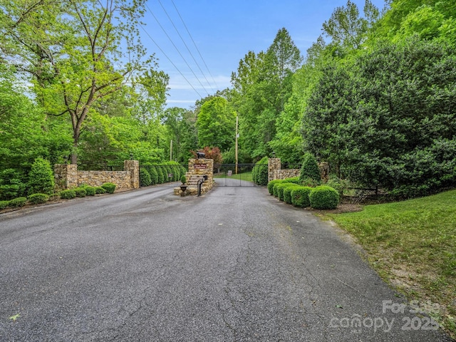 480 River Crest Parkway, Rutherfordton, NC 28139 - view of street with a gated entry and a gate