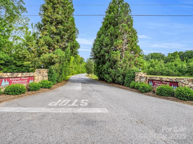 480 River Crest Parkway, Rutherfordton, NC 28139 - view of road