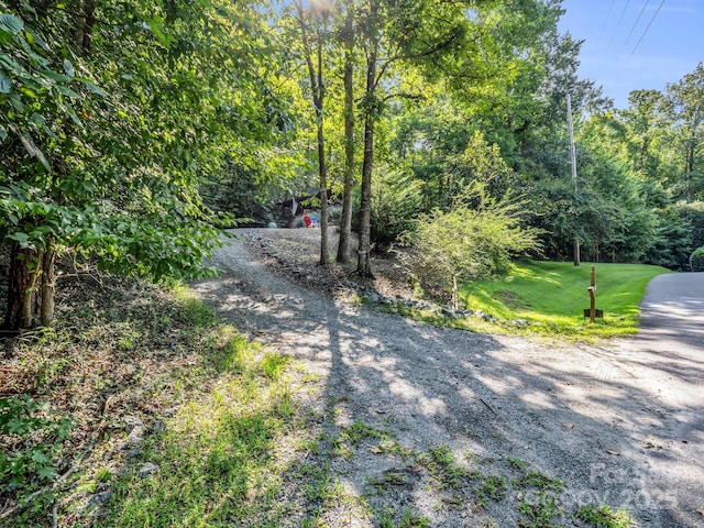480 River Crest Parkway, Rutherfordton, NC 28139 - view of road