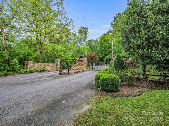 480 River Crest Parkway, Rutherfordton, NC 28139 - view of street
