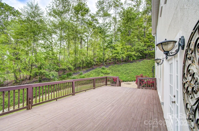 208 Bragg Ct, Hendersonville, NC 28792 - photo 45