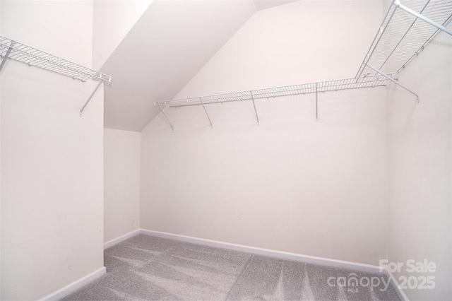 3073 Oliver Stanley Trl, Lancaster, SC 29720 - spacious closet featuring carpet flooring and vaulted ceiling