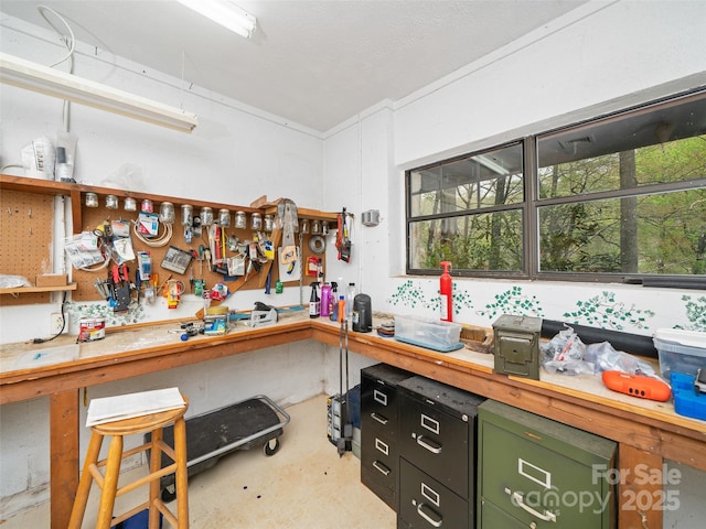 miscellaneous room featuring plenty of natural light, concrete flooring, and a workshop area