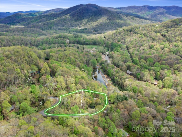 birds eye view of property with a mountain view and a wooded view