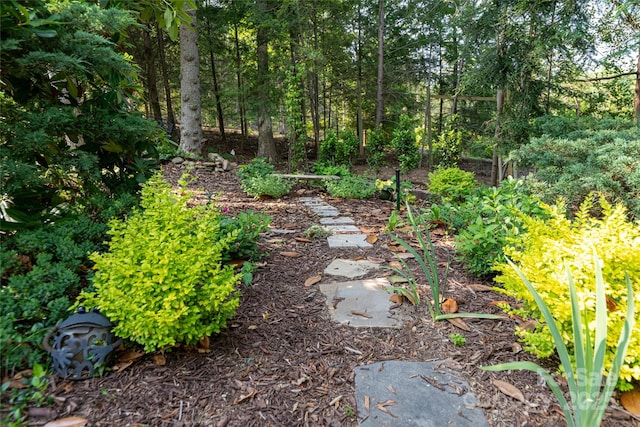 69 Forest Rd, Asheville, NC 28803 - view of yard