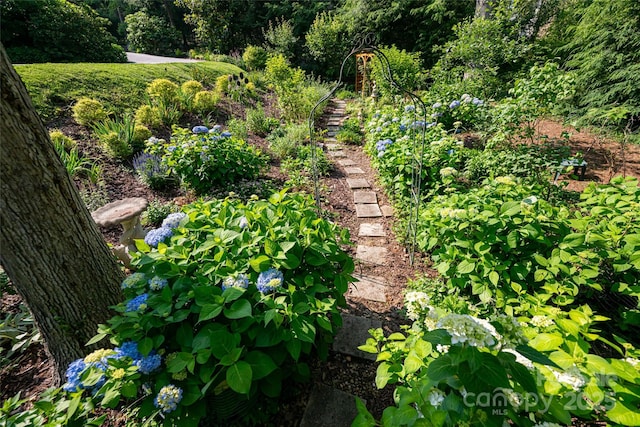 69 Forest Rd, Asheville, NC 28803 - view of yard featuring a vegetable garden