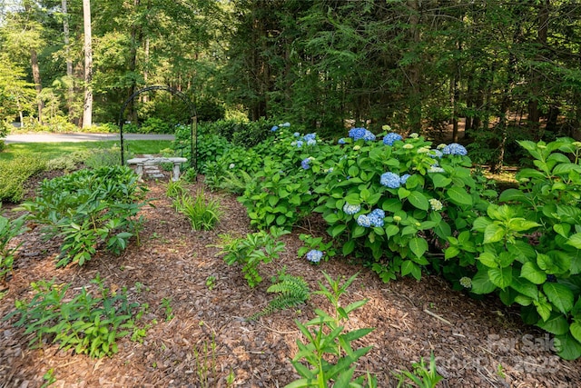 69 Forest Rd, Asheville, NC 28803 - view of yard