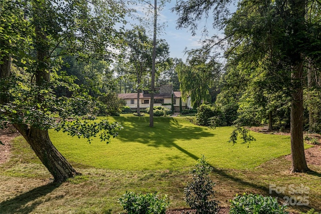 69 Forest Rd, Asheville, NC 28803 - view of green lawn