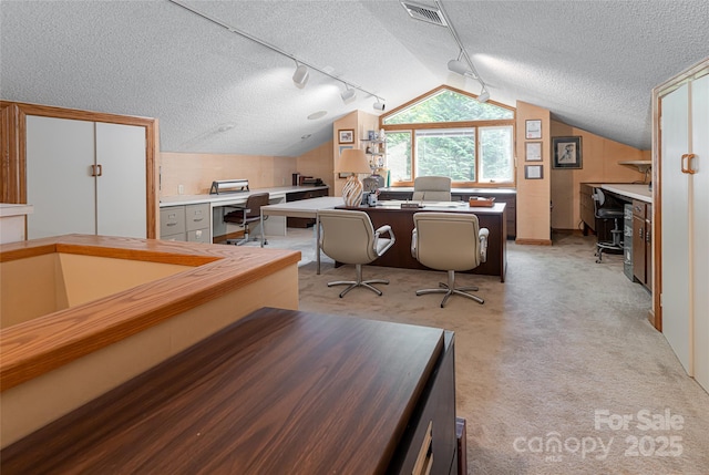 69 Forest Rd, Asheville, NC 28803 - home office featuring rail lighting, a textured ceiling, light colored carpet, and lofted ceiling