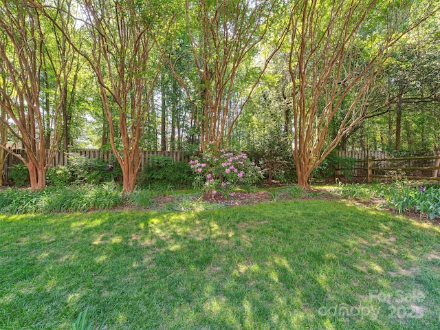 2825 Redfield Dr, Charlotte, NC 28270 - view of yard