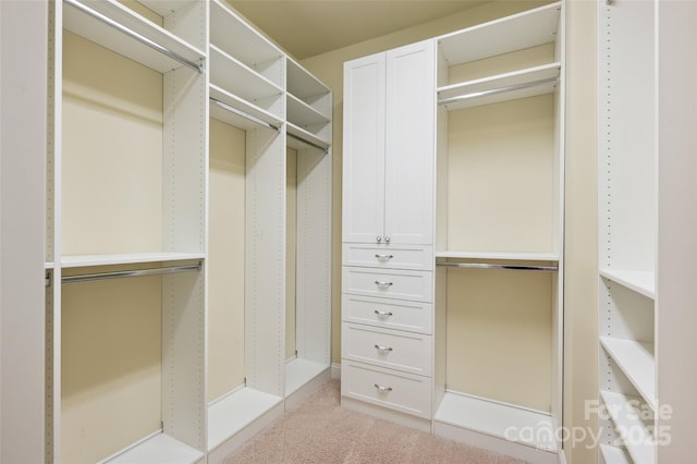 spacious closet with light colored carpet