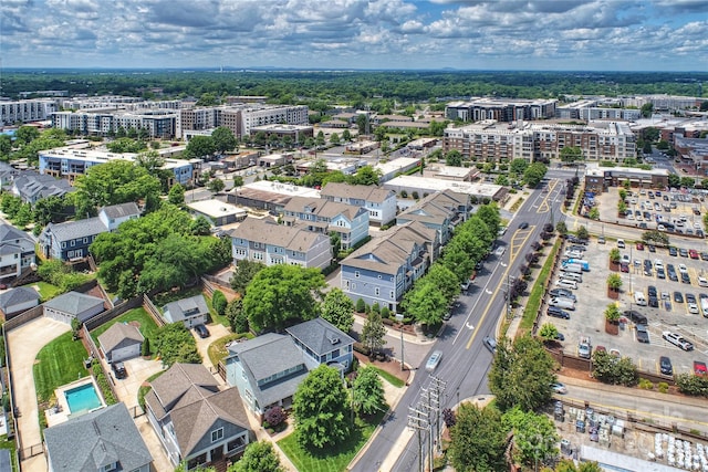 bird's eye view