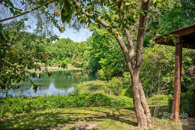 water view