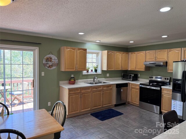 kitchen featuring a sink, ornamental molding, stainless steel appliances, and under cabinet range hood