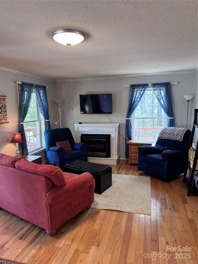 living area featuring a glass covered fireplace, ornamental molding, hardwood / wood-style flooring, and a textured ceiling