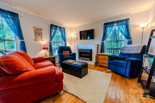 76 Overlook Pointe Dr, Spruce Pine, NC 28777 - living area with crown molding, a glass covered fireplace, and hardwood / wood-style floors