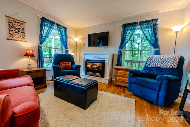 76 Overlook Pointe Dr, Spruce Pine, NC 28777 - living room featuring crown molding, a glass covered fireplace, and wood finished floors