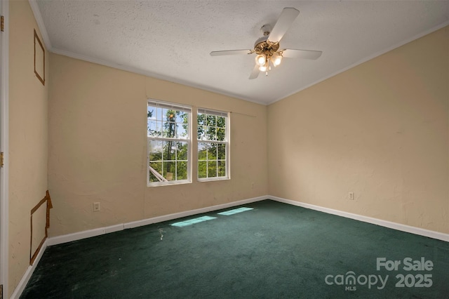 257 River Crest Dr, Flat Rock, NC 28731 - spare room with carpet flooring, crown molding, a textured ceiling, baseboards, and ceiling fan
