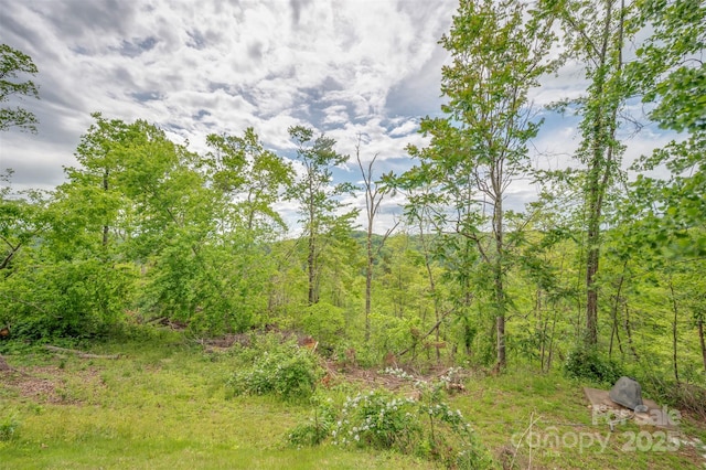 257 River Crest Dr, Flat Rock, NC 28731 - view of landscape featuring a wooded view