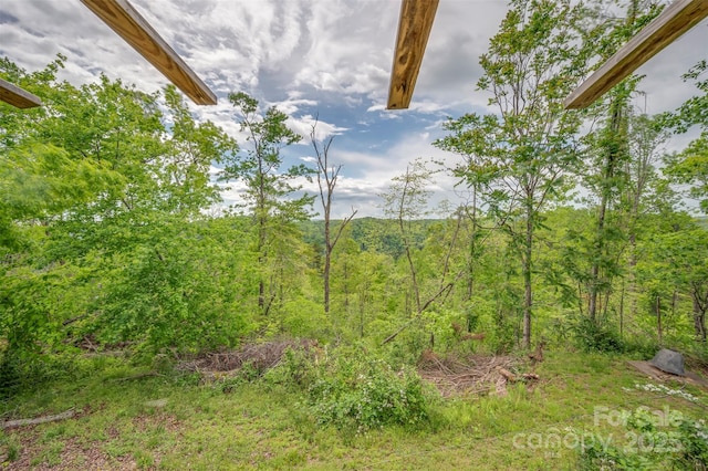 257 River Crest Dr, Flat Rock, NC 28731 - view of local wilderness with a view of trees
