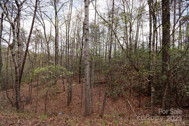 0 Mcintosh Cir, Lake Lure, NC 28746
