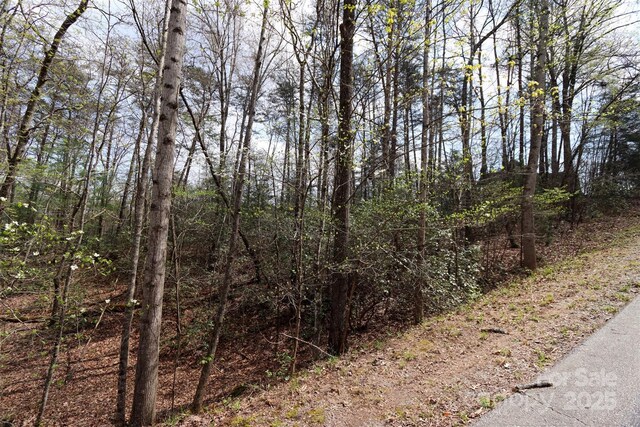 0 Mcintosh Cir, Lake Lure, NC 28746