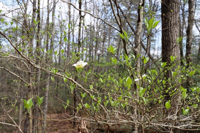 0 Mcintosh Cir, Lake Lure, NC 28746
