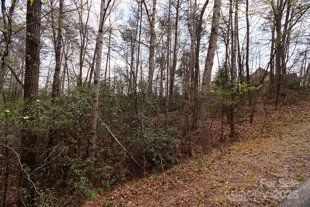 0 Mcintosh Cir, Lake Lure, NC 28746