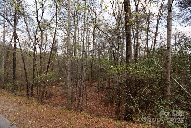 0 Mcintosh Cir, Lake Lure, NC 28746