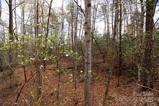 0 Mcintosh Cir, Lake Lure, NC 28746