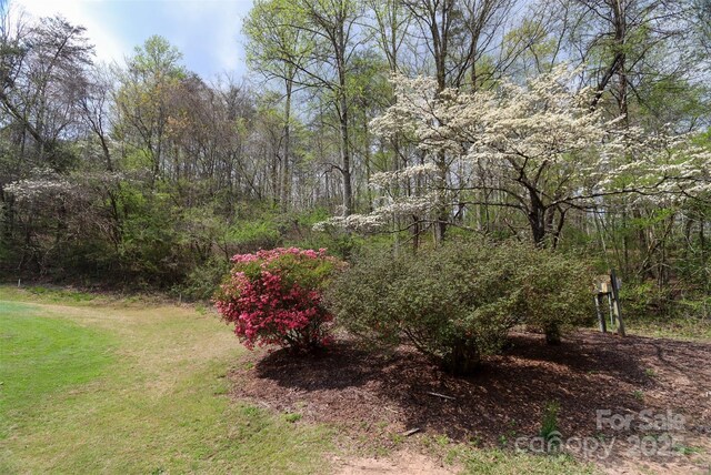 0 Mcintosh Cir, Lake Lure, NC 28746
