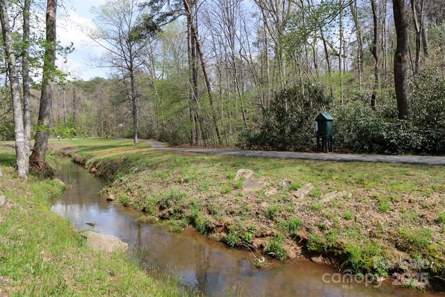 0 Mcintosh Cir, Lake Lure, NC 28746