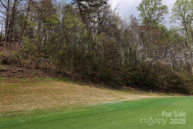 0 Mcintosh Cir, Lake Lure, NC 28746