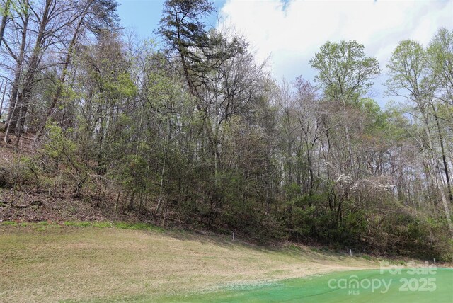 0 Mcintosh Cir, Lake Lure, NC 28746