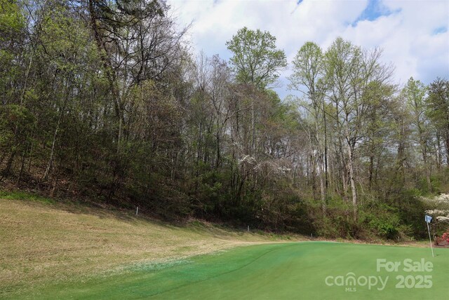 0 Mcintosh Cir, Lake Lure, NC 28746