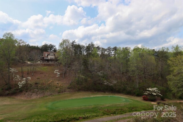 0 Mcintosh Cir, Lake Lure, NC 28746