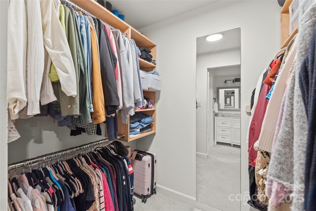 spacious closet featuring carpet floors