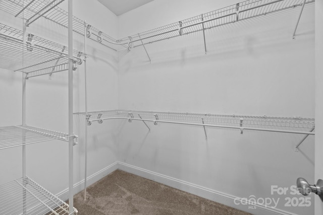 1607 Essex Hall Dr, Rock Hill, SC 29730 - photo 26