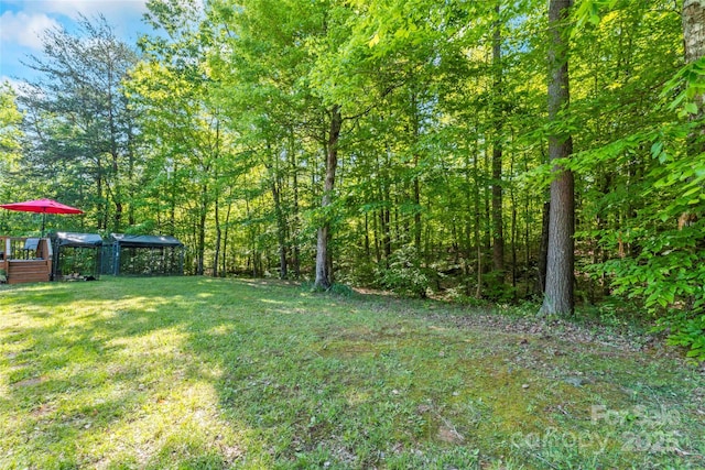 743 Dream Ln, Salisbury, NC 28146 - view of yard featuring a wooded view