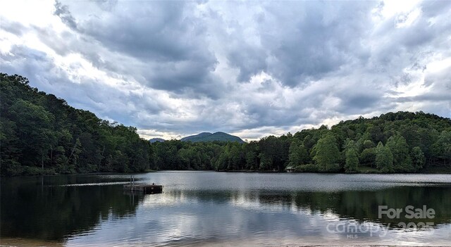 482 Pheasant St, Lake Lure, NC 28746 - water view featuring a heavily wooded area