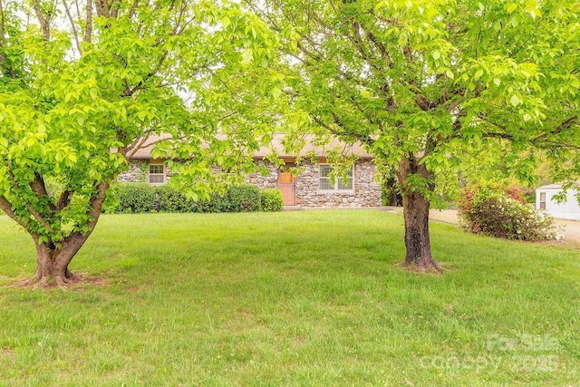 view of green lawn