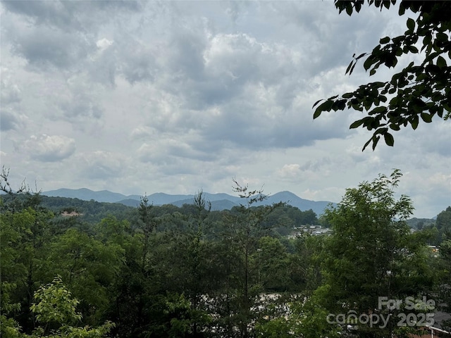 view of mountain background with a forest