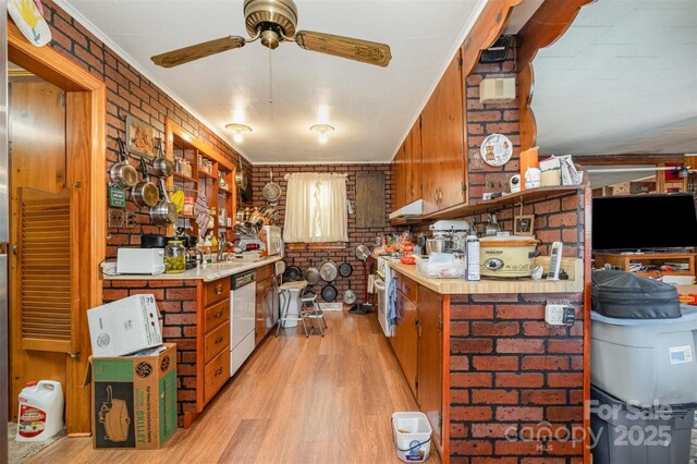 kitchen featuring light wood-type flooring, a ceiling fan, dishwashing machine, and light countertops